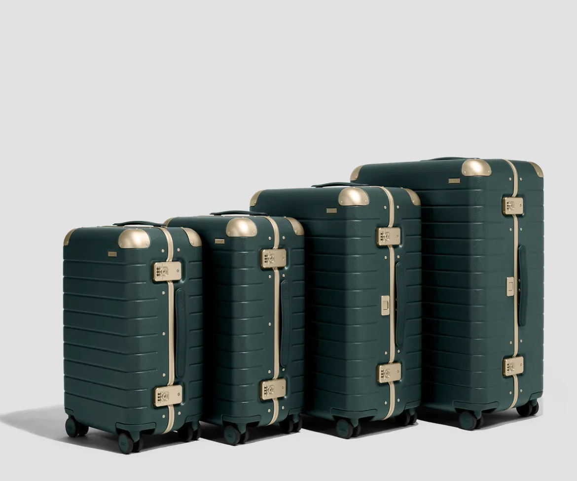The Aluminum Edge Bigger Carry-On in Ivy Green