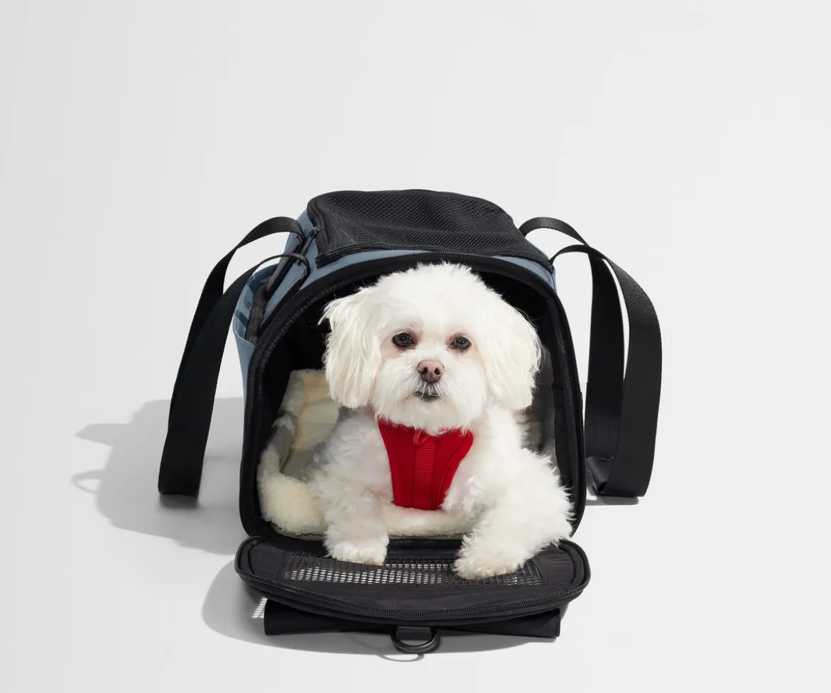 The Pet Carrier in Coast Blue