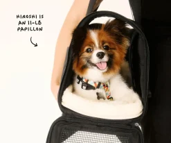 The Pet Carrier in Jet Black