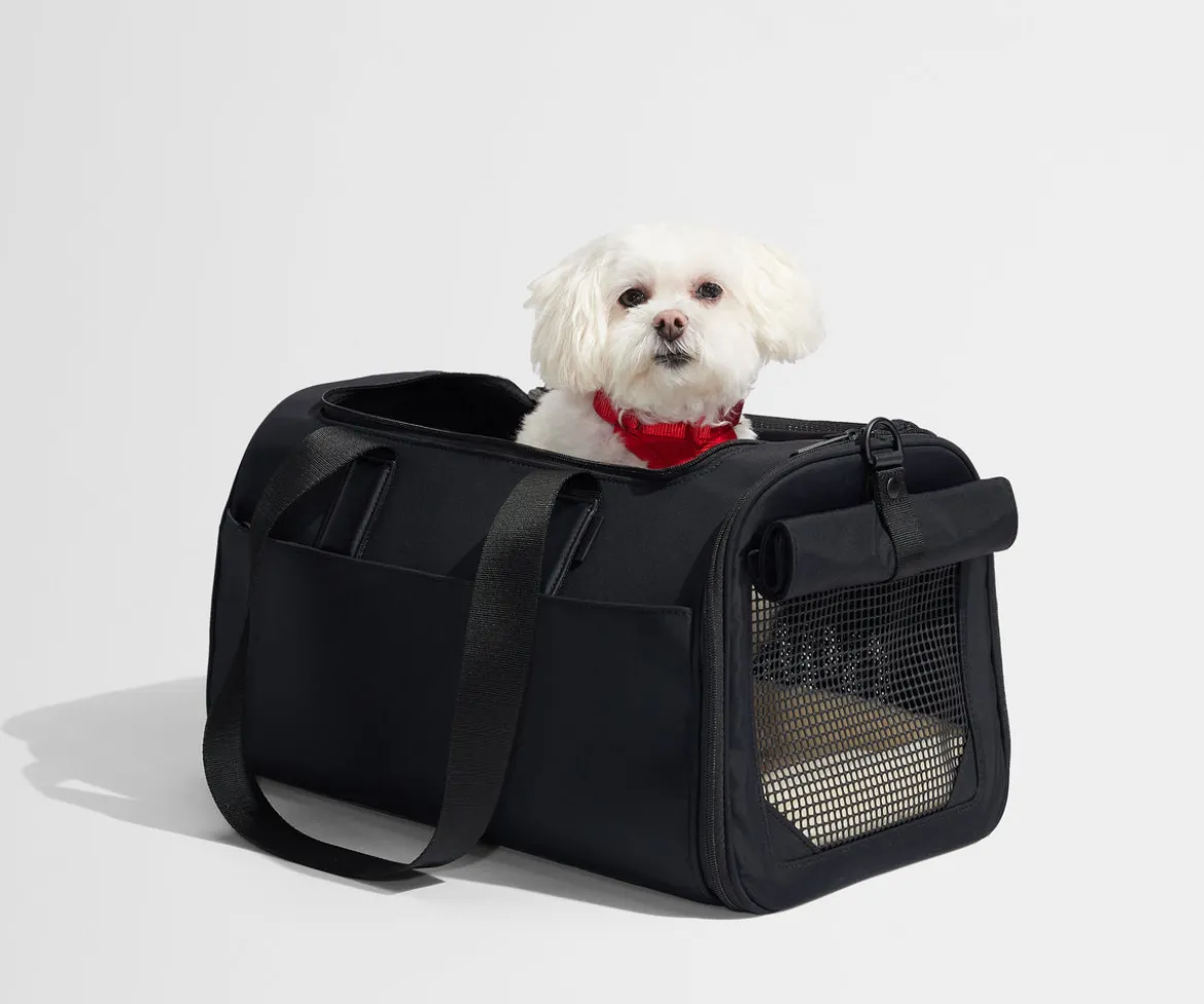 The Pet Carrier in Jet Black