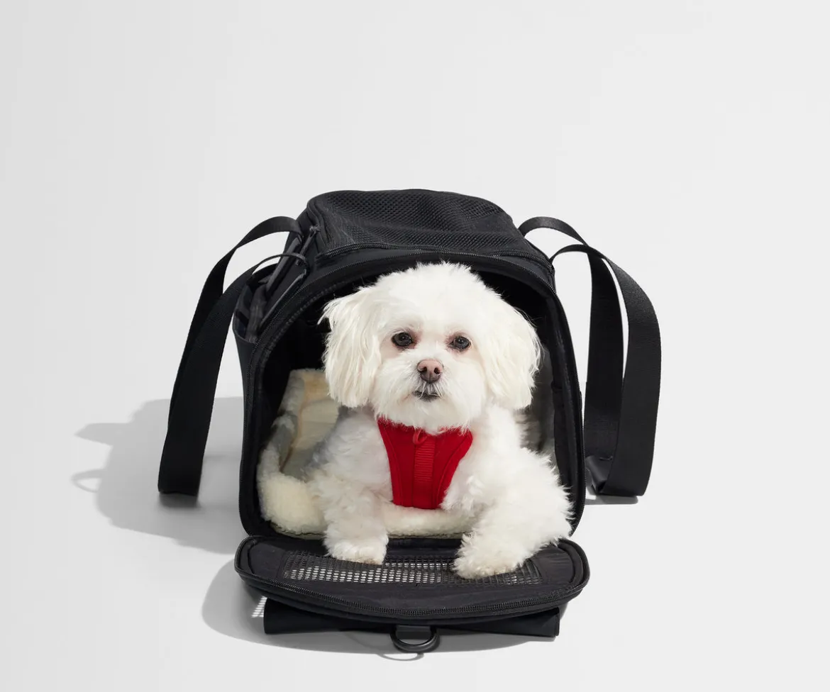 The Pet Carrier in Jet Black