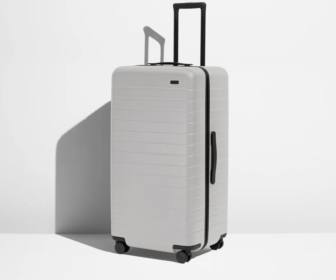 The Trunk in Cloud Gray