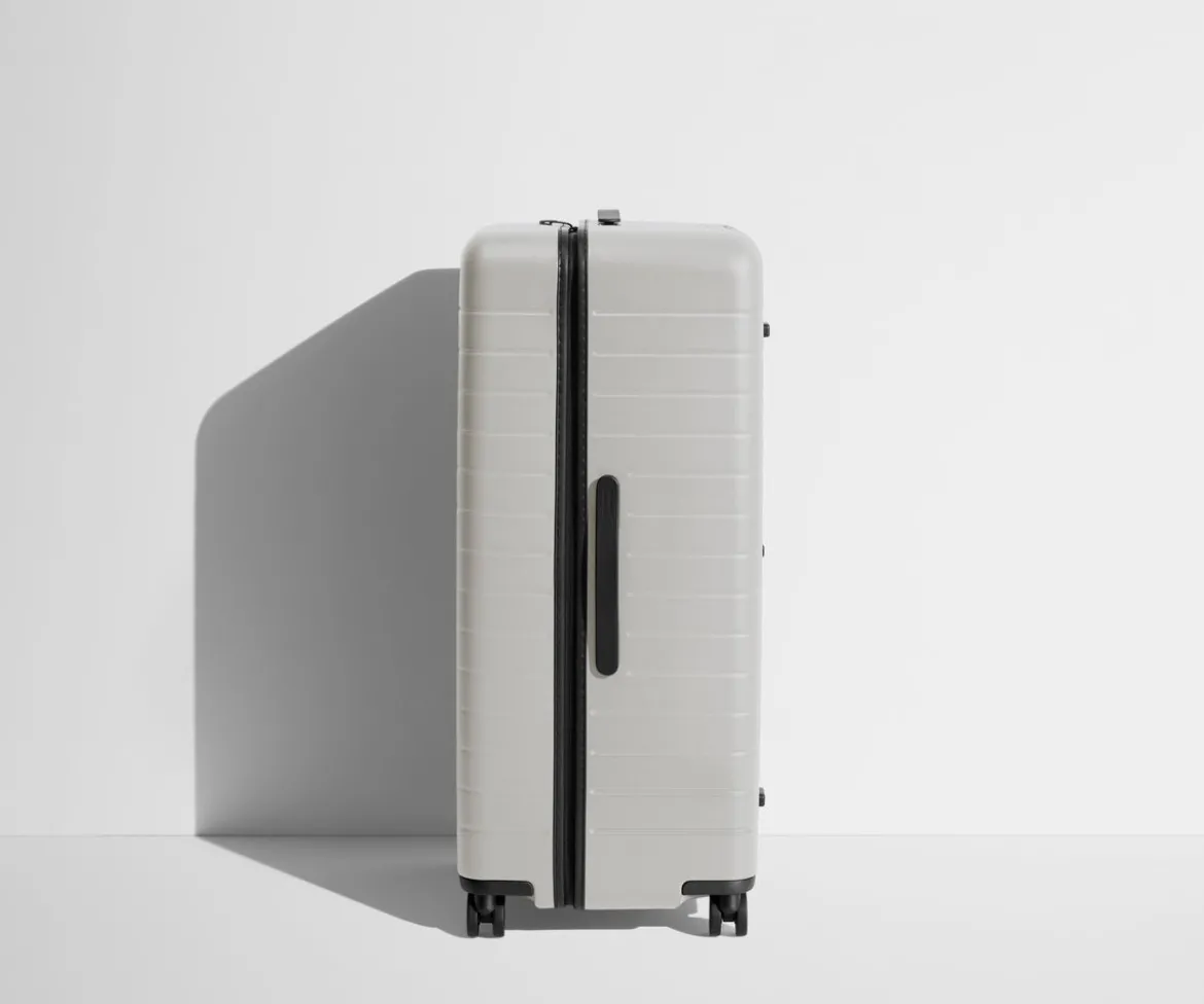 The Trunk in Cloud Gray