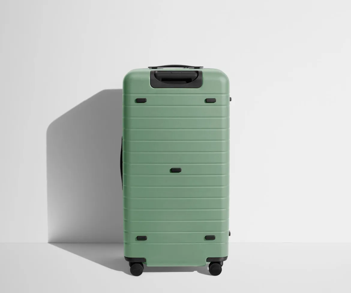 The Trunk in Sea Green